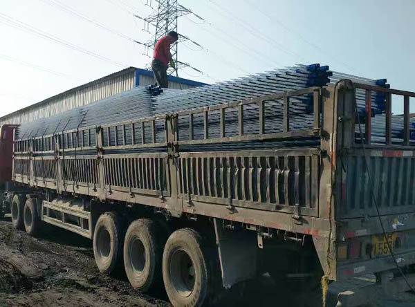 �����o�ڳ��S